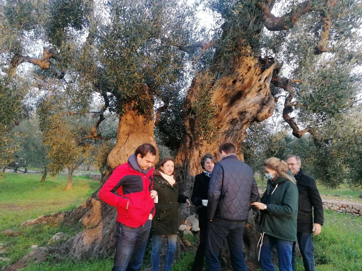 Agriturismo Salinola Ostuni Exteriör bild